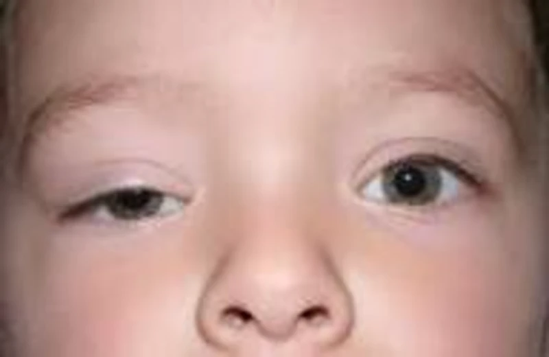 1791271687749-images-20260617-143819-313-6897-5597643d.webp 1791271687749-images-20260617-143819-313-6897-5597643d.webp